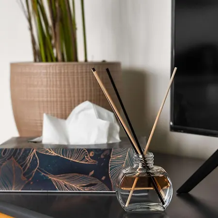 公寓 Stylische Altbauwohnung Am 布雷根茨