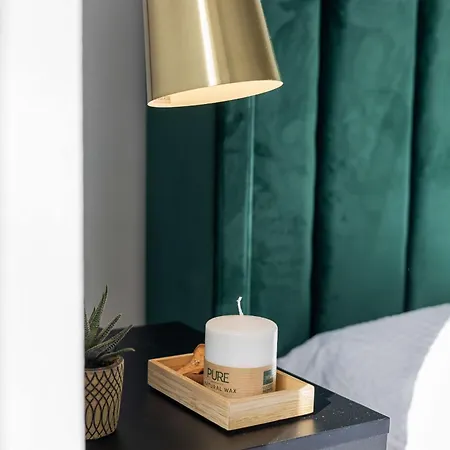 Stylische Altbauwohnung Am 公寓 布雷根茨